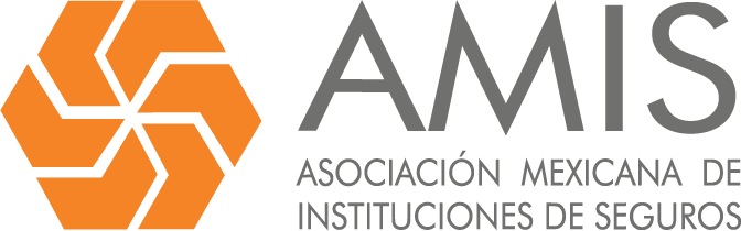 ASOCIACION MEXICANA DE INSTITUCIÓN  DE SEGUROS